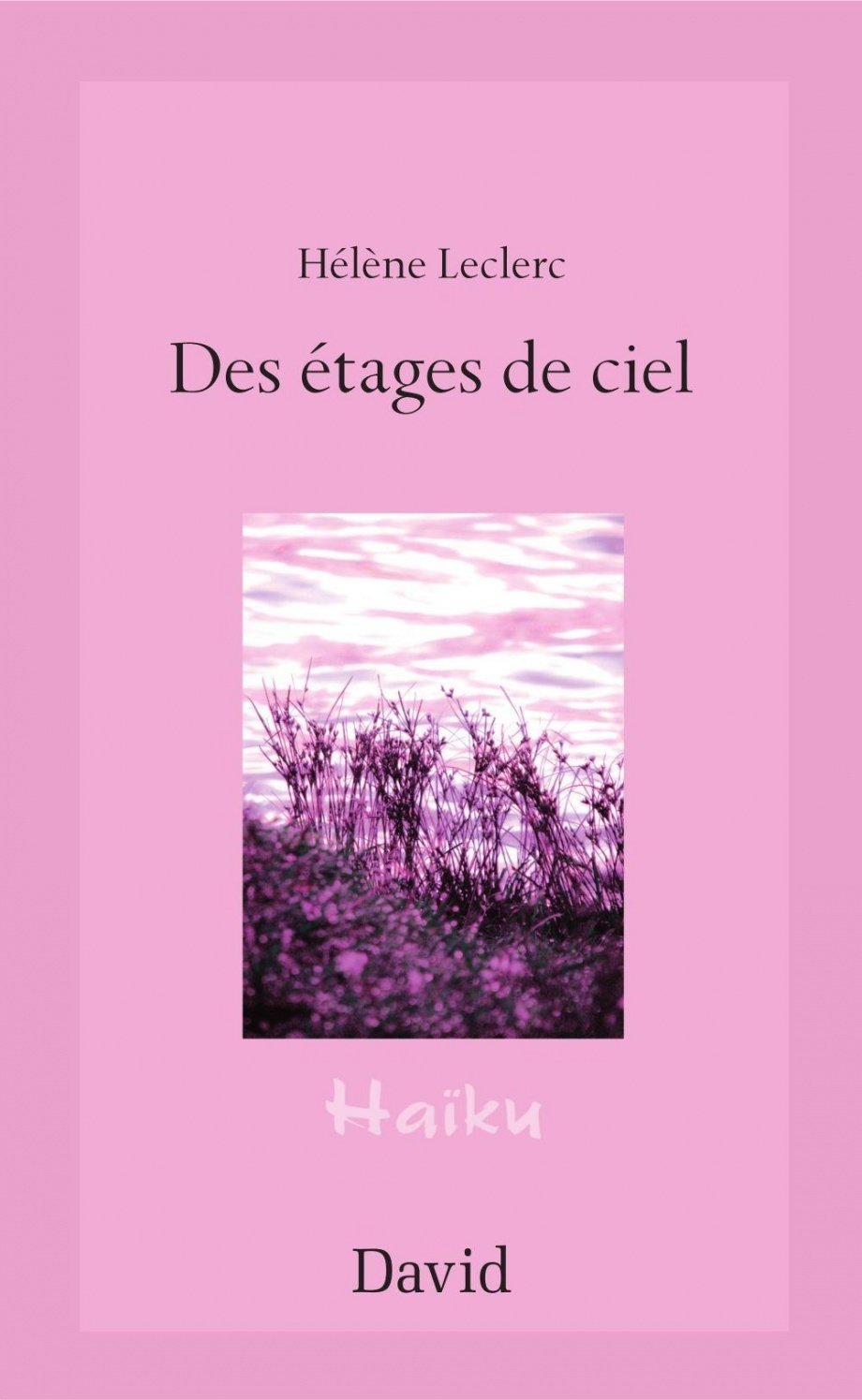 Livre Sara Dignard_Ghostée