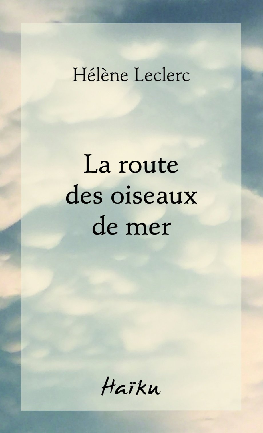 C1_La route des oiseaux de mer