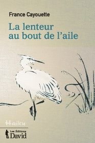 La lenteur du bout de l'aile Photo_La lenteur du bout de l'aile